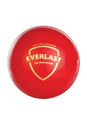 Citystore.in, Sports Accessories, SG Everlast Cricket Ball Synthetic, SG,